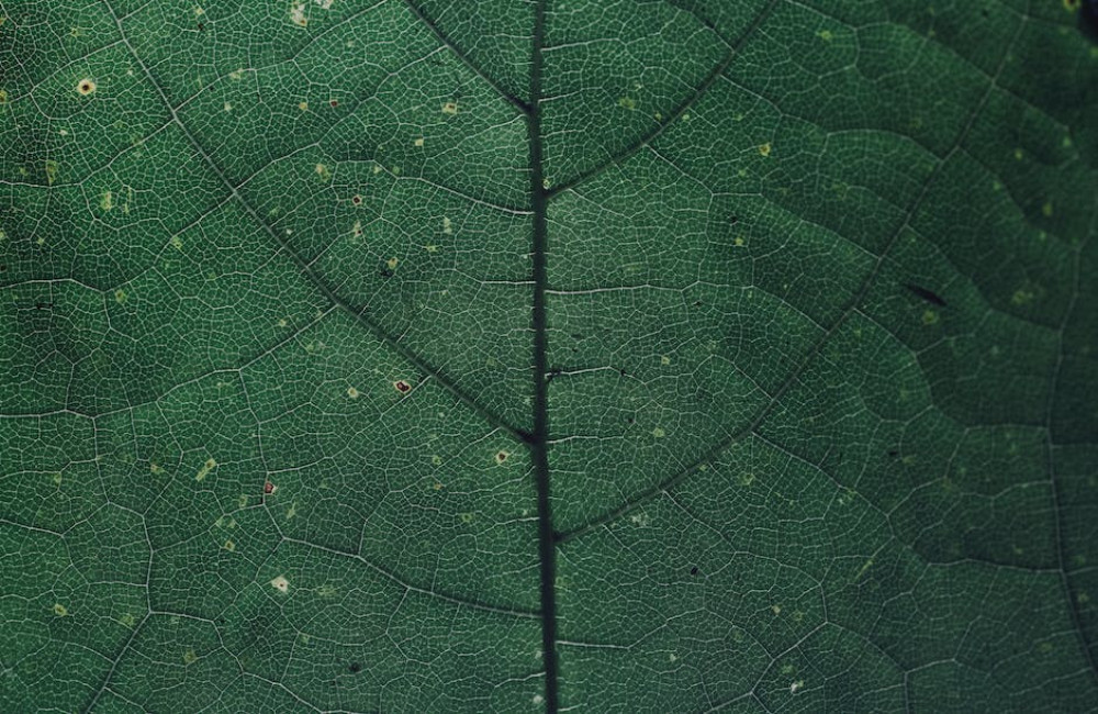 Wat is het verschil tussen een modem en een router?